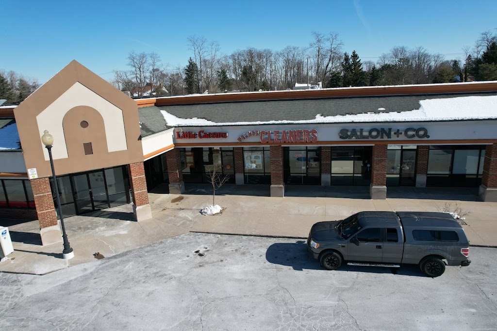 Little Caesars Pizza | 48904 Van Dyke Ave, Shelby Twp, MI 48317, USA | Phone: (586) 254-8800