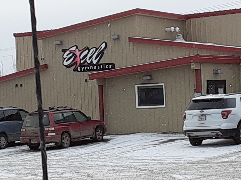Excel Gymnastics | 6109 East Mountain Heather Way, Palmer, AK 99645, USA | Phone: (907) 357-3935