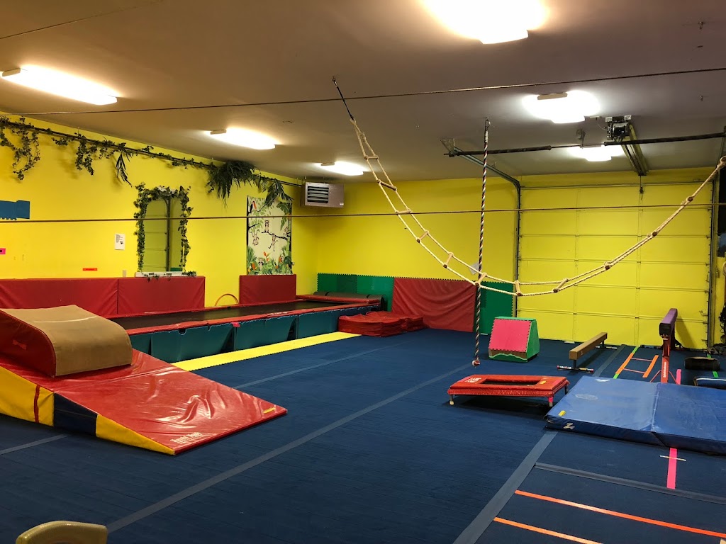 The Jungle Gymnastics Adventure Center | 325 S Sandusky St, Delaware, OH 43015, USA | Phone: (740) 363-7552