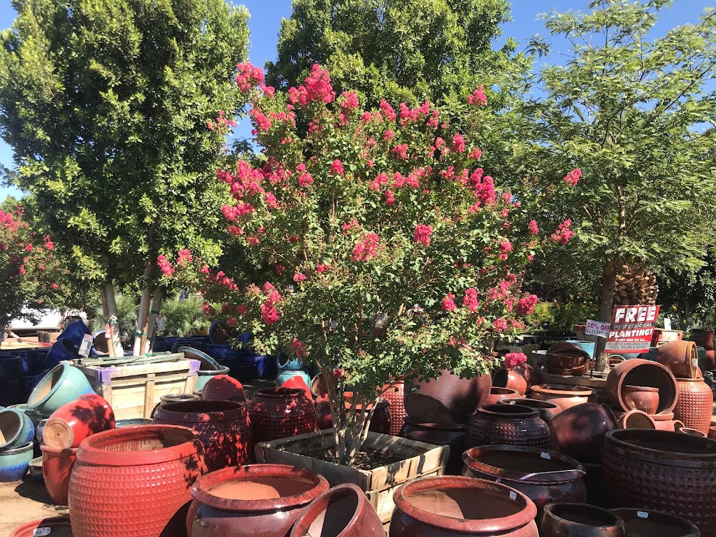 Moon Valley Nurseries | 8550 W Pinnacle Peak Rd, Peoria, AZ 85383, USA | Phone: (623) 242-5754 Moon Valley Nurseries | 8550 W Pinnacle Peak Rd, Peoria, AZ 85383, USA | Phone: (623) 242-5754