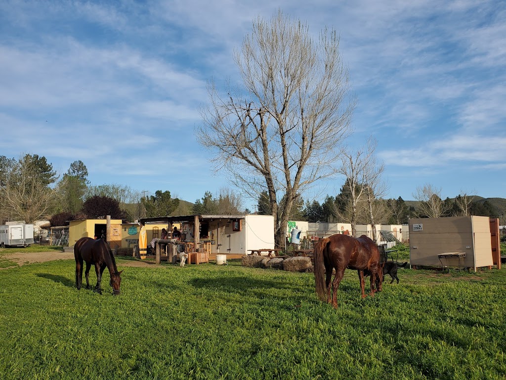 San Diego Horse Trail Riding | 404 Box, Pine Valley, CA 91962, USA | Phone: (619) 831-2793