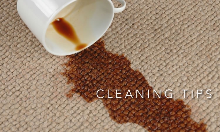 Blue Ribbon Carpet Cleaning | 924 Cardinal Ridge Rd, Burleson, TX 76028, USA | Phone: (817) 914-4450