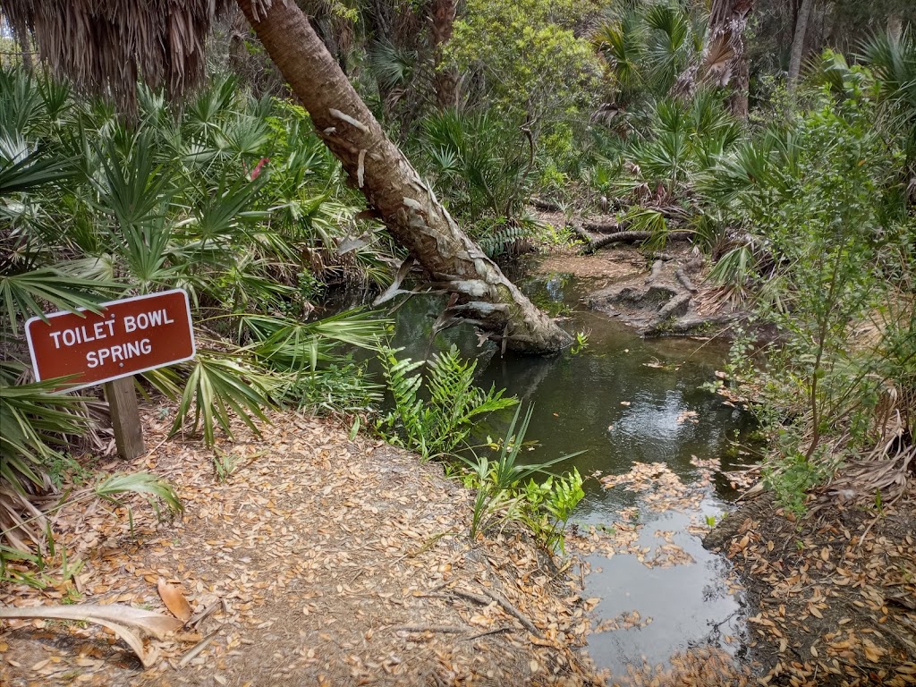 Werner-Boyce Salt Springs State Park | 8737 US-19, Port Richey, FL 34668, USA | Phone: (727) 816-1890