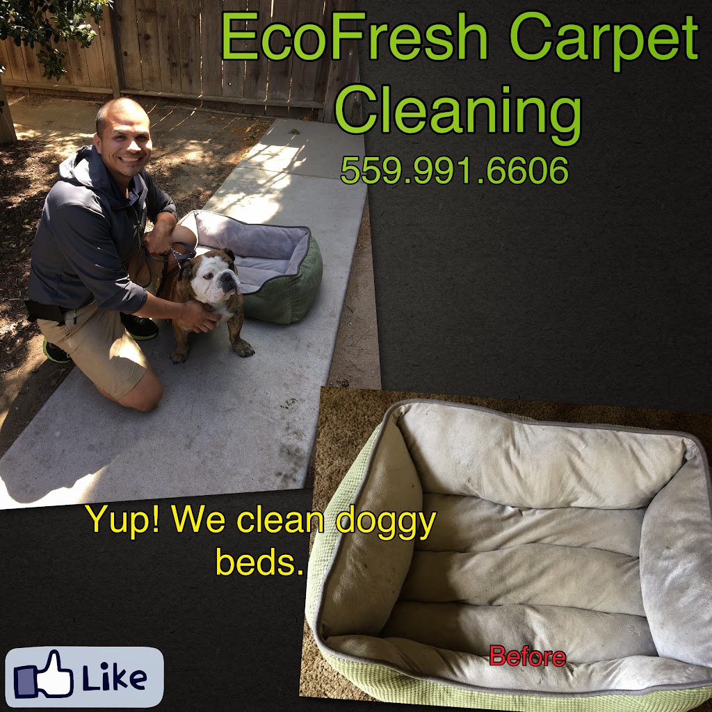 EcoFresh Carpet Cleaning | 19055 Panoramic Dr, Madera, CA 93638, USA | Phone: (559) 991-6606