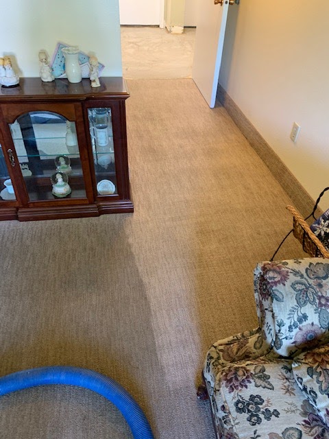 Complete Carpet Care | 3485 N Cole Rd #45614, Boise, ID 83704, USA | Phone: (208) 392-2761