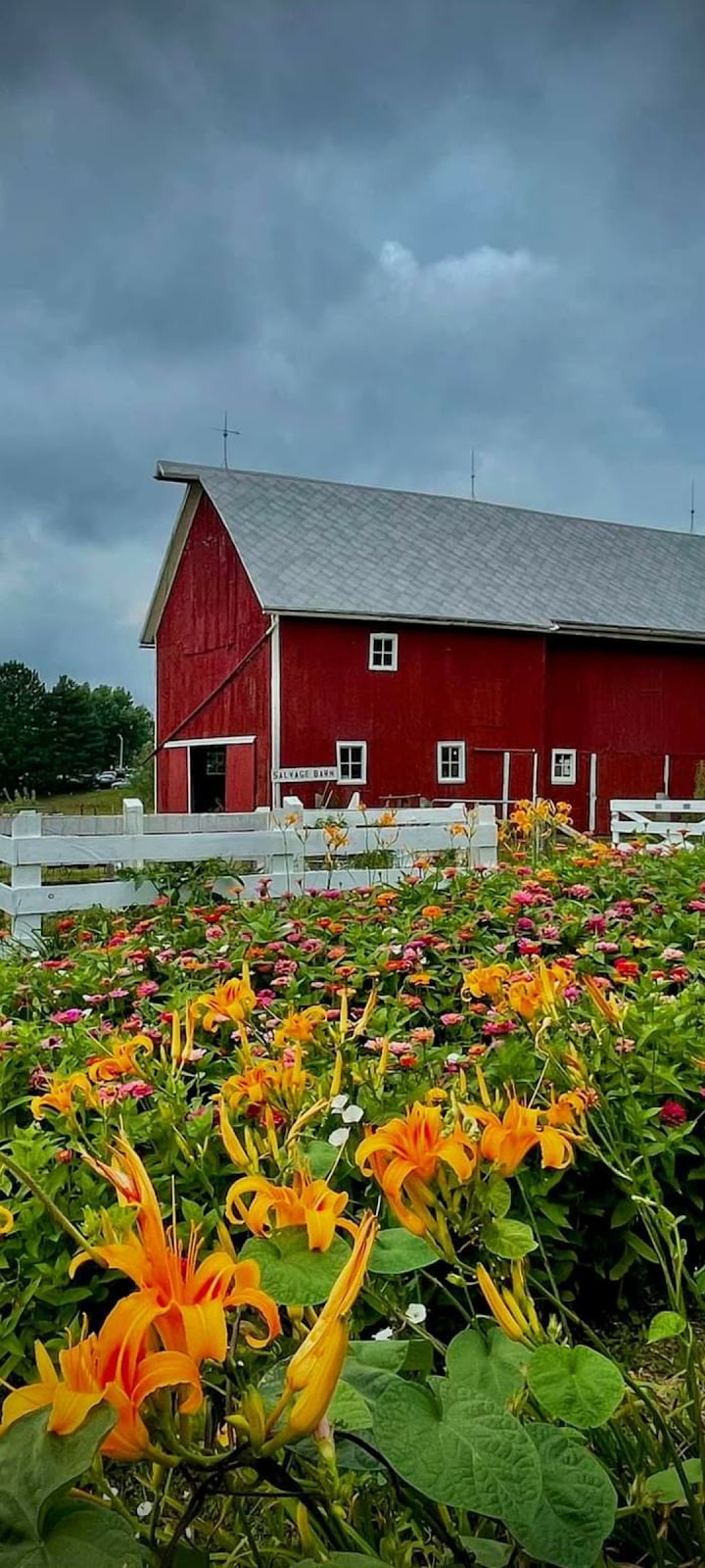 Rentschler Farm Museum | 1265 E Michigan Ave, Saline, MI 48176, USA | Phone: (734) 944-0442