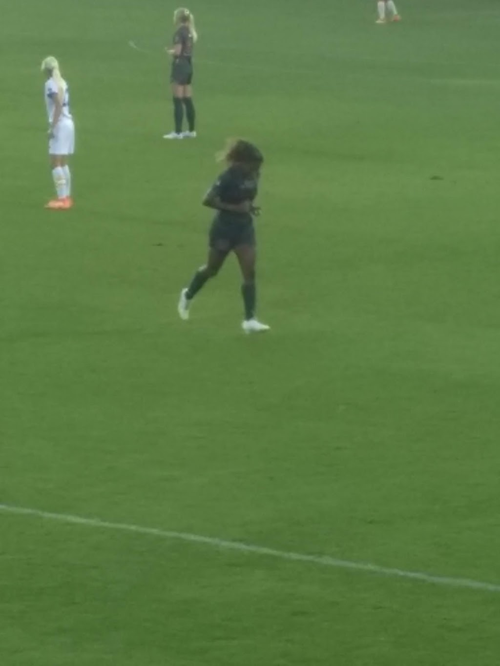 Maloney Field at Laird Q. Cagan Stadium | 641 Nelson Rd, Stanford, CA 94305, USA | Phone: (650) 723-4591