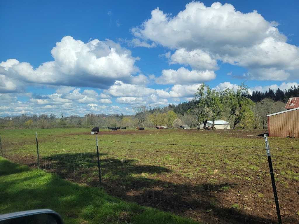 Mountain Stream Meat Co. | 14818 S Teasel Creek Rd, Molalla, OR 97038, USA | Phone: (971) 349-0710