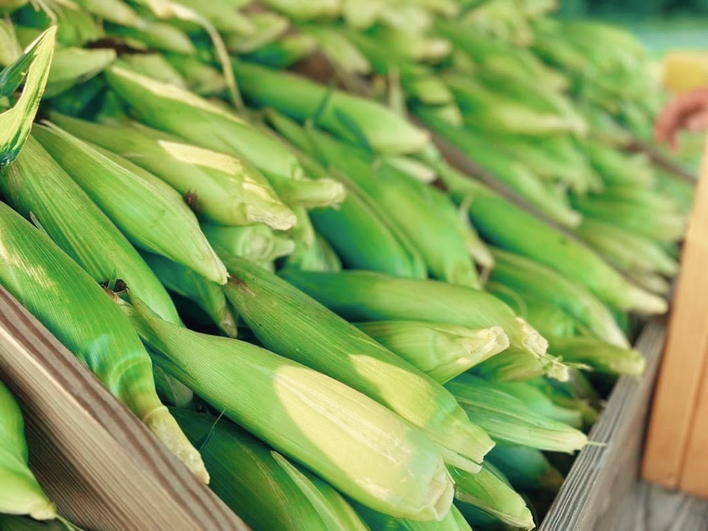 Goose Hill Farm | 22090 Bethel Rd, Franklin, VA 23851, USA | Phone: (757) 569-8453