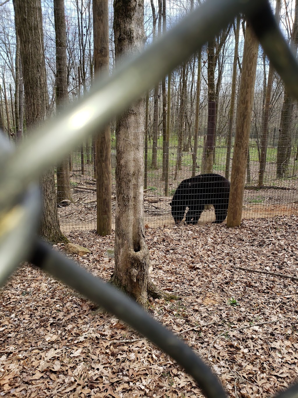 Noahs Ark Animal Sanctuary | 712 L G Griffin Rd, Locust Grove, GA 30248, USA | Phone: (770) 957-0888