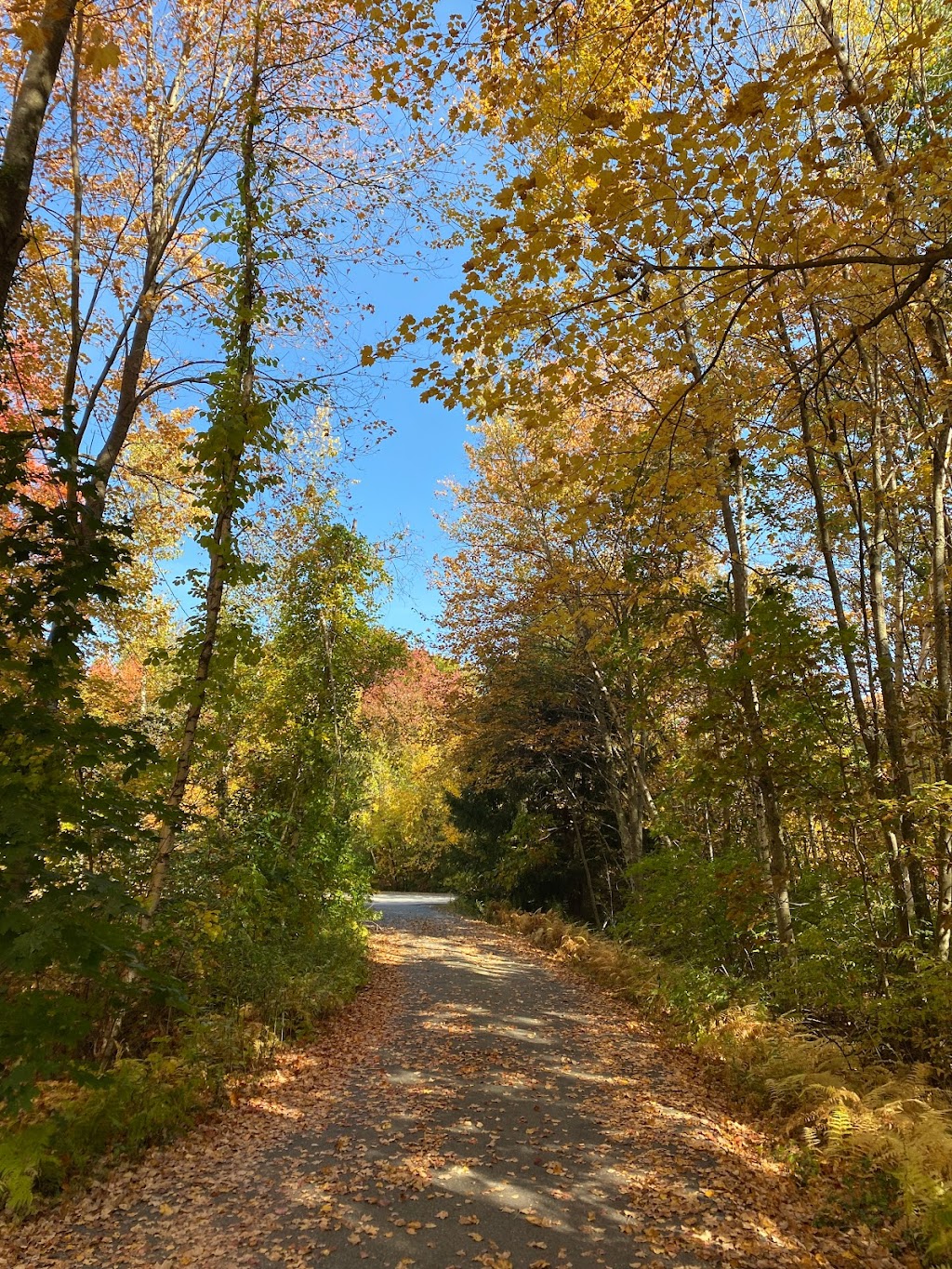 Healing Balance Reiki & Reflexology | 9 Josiah Dr, Litchfield, NH 03052, USA | Phone: (603) 234-5980