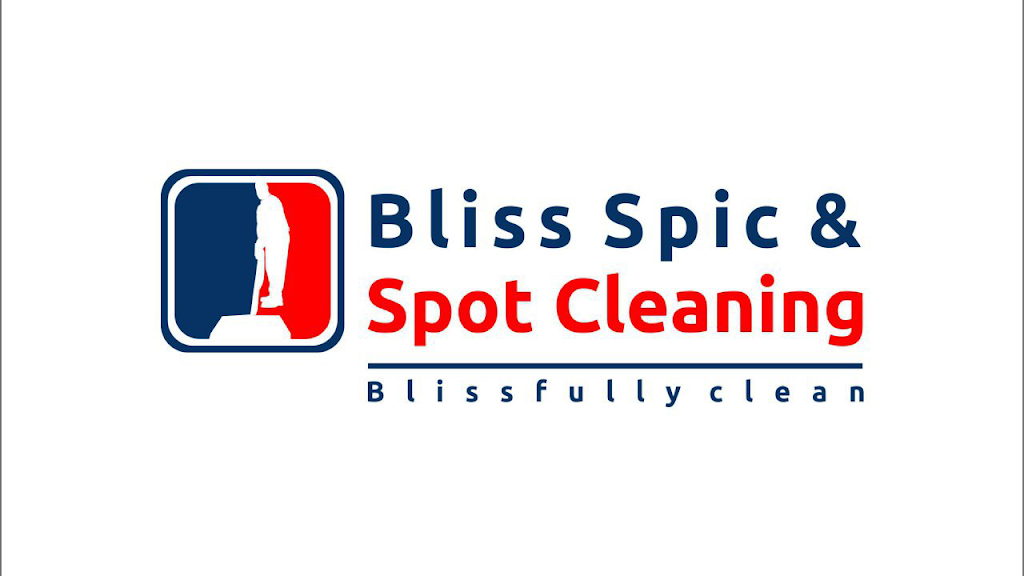 Bliss spice & spot cleaning | 1717 Adelaide Blvd, Akron, OH 44306, USA | Phone: (330) 631-2776