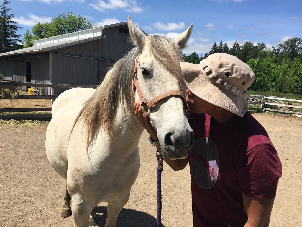 Healing Horse Therapy | 30608 NE Mc Bride Rd #1, Battle Ground, WA 98604, USA | Phone: (360) 798-2669