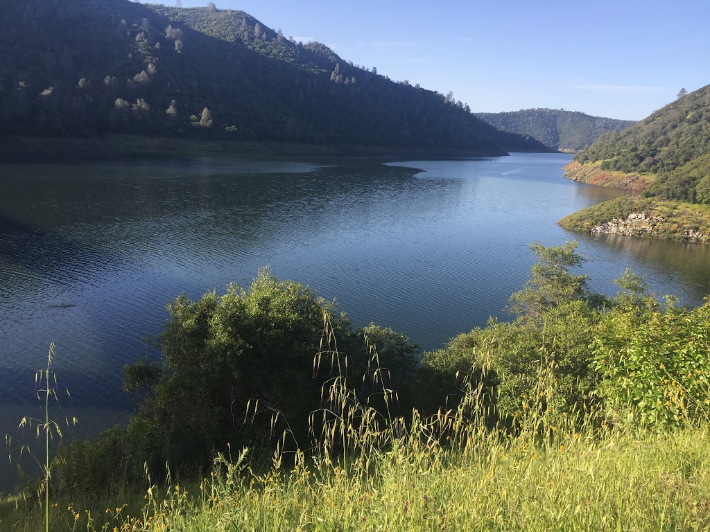 New Melones Lake Marina | 6503 Glory Hole Rd, Angels Camp, CA 95222, USA | Phone: (209) 785-3307