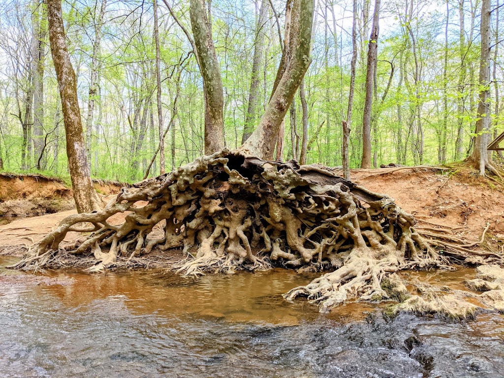 Johnston Mill Nature Preserve | 2713 Mt Sinai Rd, Chapel Hill, NC 27514, USA | Phone: (919) 908-8809