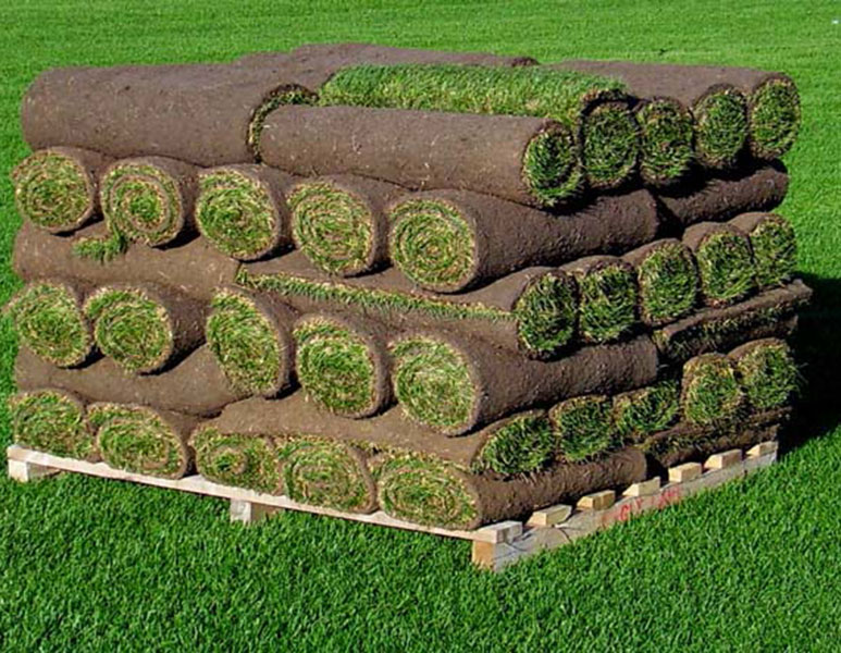 Saratoga Sod Farm | 1670 US-4, Stillwater, NY 12170 | Phone: (518) 664-5038