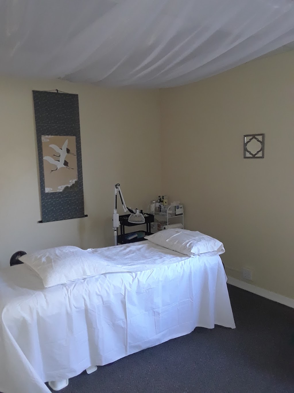 Maggie Shao Acupuncture | 600 Professional Center Dr #614, Novato, CA 94947 | Phone: (415) 216-5992