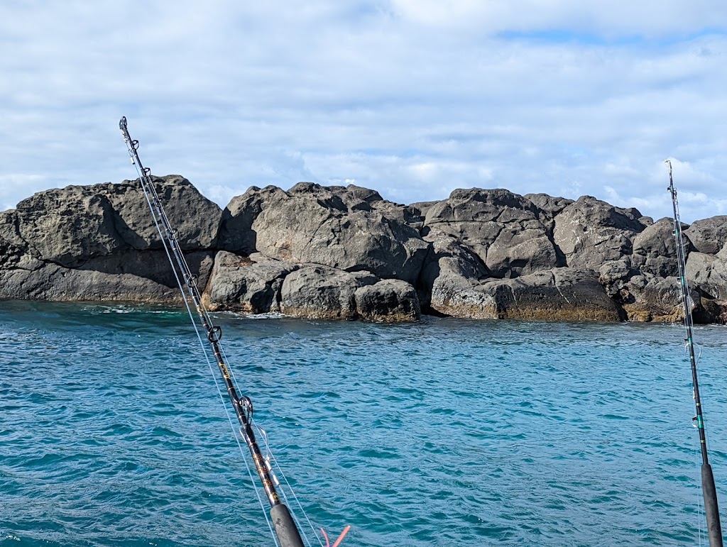 Ocean Addict Hawaii | Ocean Addict, Harbor 66, 105 Haleiwa Rd, Haleiwa, HI 96712, USA | Phone: (808) 637-3474