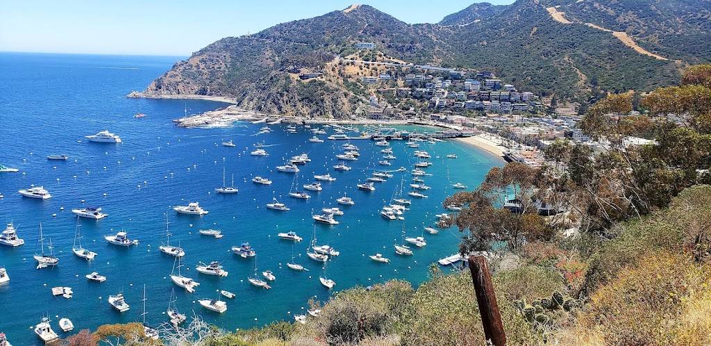 Catalina Island Conservancy Trailhead | 708 Crescent Ave, Avalon, CA 90704, USA | Phone: (310) 510-2595