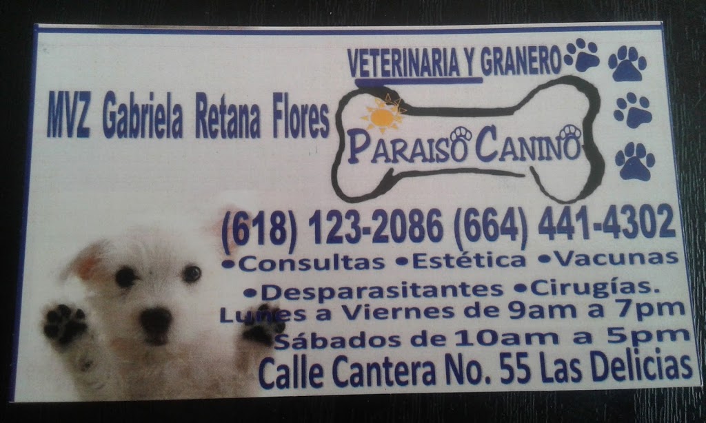 VETERINARIA PARAISO CANINO | Esmeralda 55, Aves del Paraiso, 22163 Pachuca de Soto, B.C., Mexico | Phone: 664 441 4302
