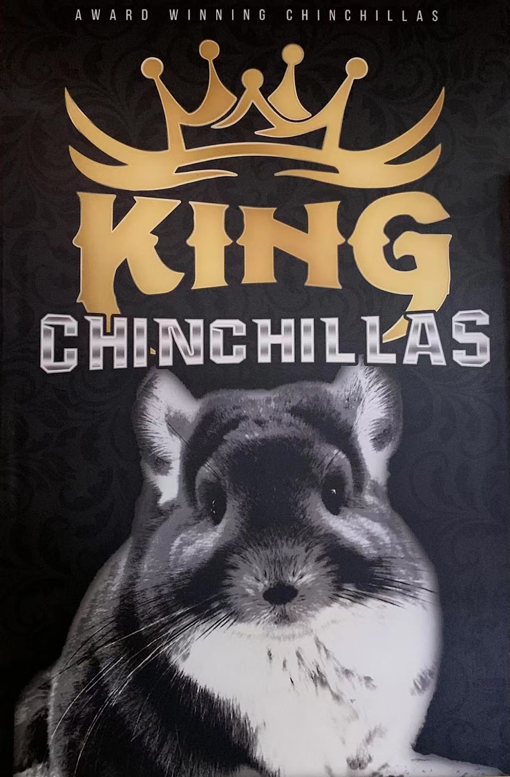 KING CHINCHILLA | 1391 W Arrow Hwy, San Dimas, CA 91773, USA | Phone: (909) 506-4422