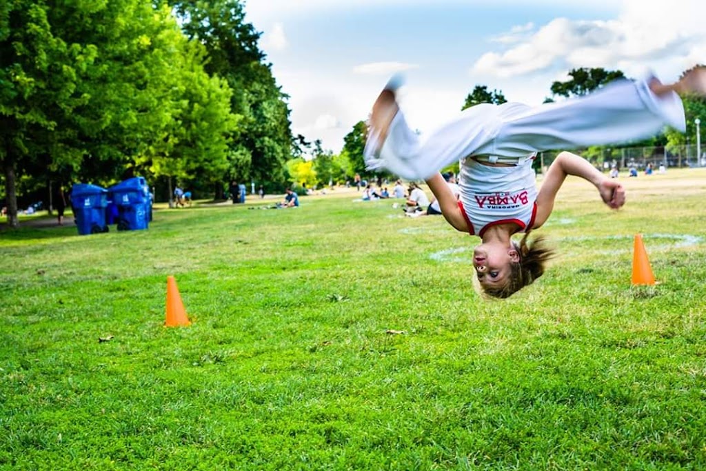 Capoeira Bamba Toronto | 1069 St Clair Ave W, Toronto, ON M6E 1A6, Canada | Phone: (647) 340-2293