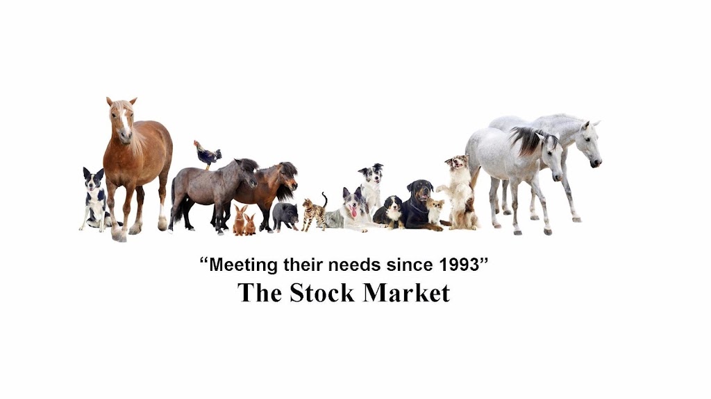 The Stock Market Country Store | 4479 GA-20, Conyers, GA 30013, USA | Phone: (770) 483-8620