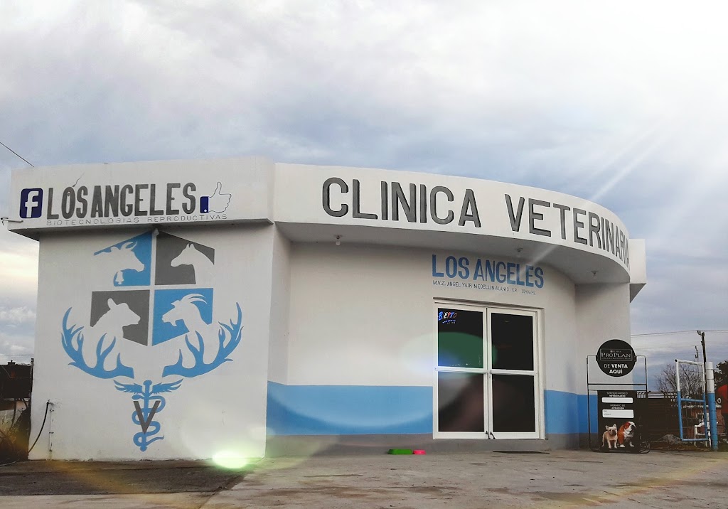 Los Angeles Biotecnologias Reproductivas | Centro de Anahuac, 65030 Anáhuac, Nuevo Leon, Mexico | Phone: 873 102 9675