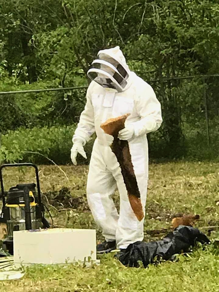 Queen B Apiaries | 29802 Lake Commons Way, Huffman, TX 77336, USA | Phone: (832) 708-7772