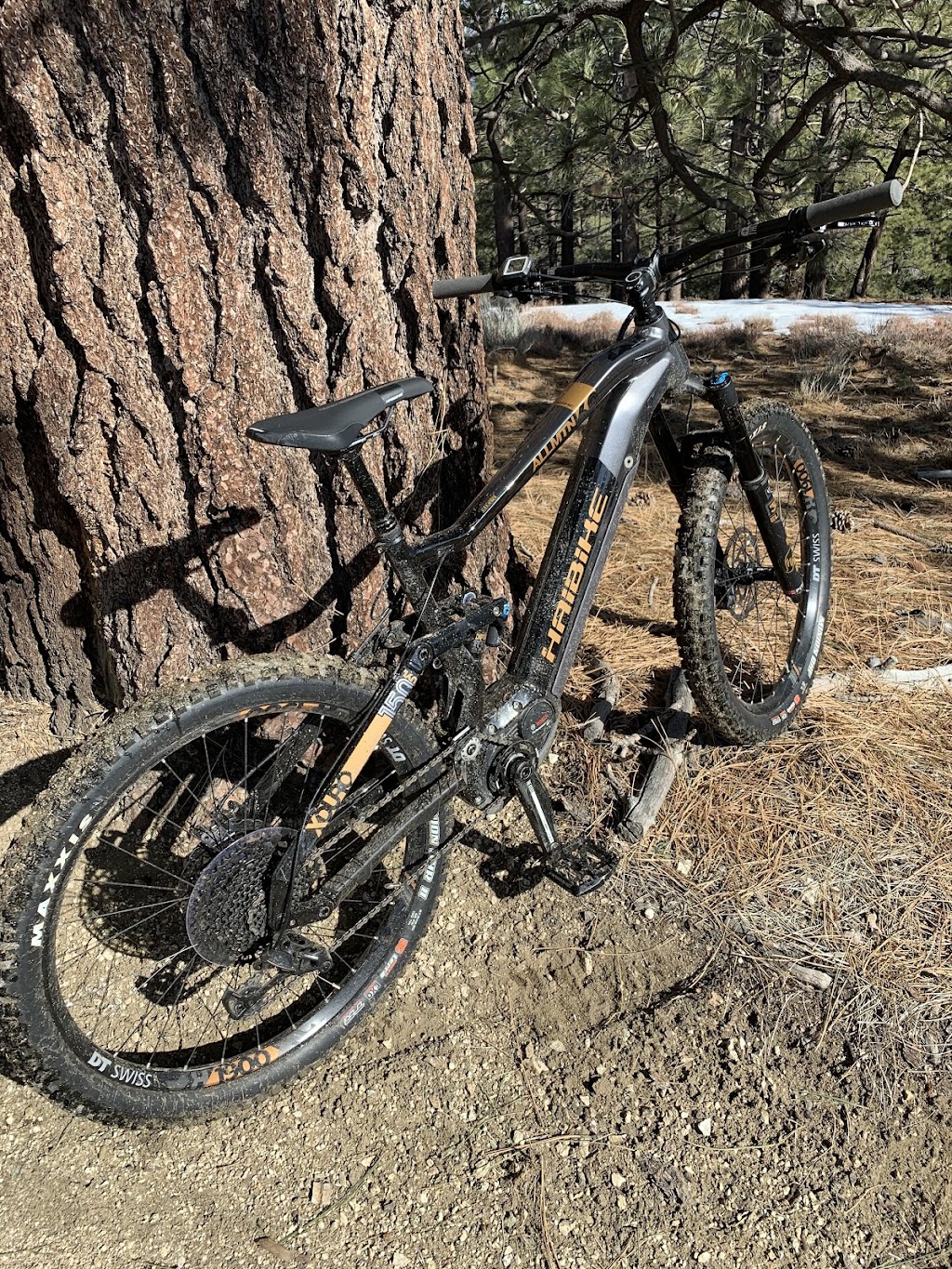 Wrightwood eBikes | 6025 Park Dr, Wrightwood, CA 92397, USA | Phone: (661) 400-7882