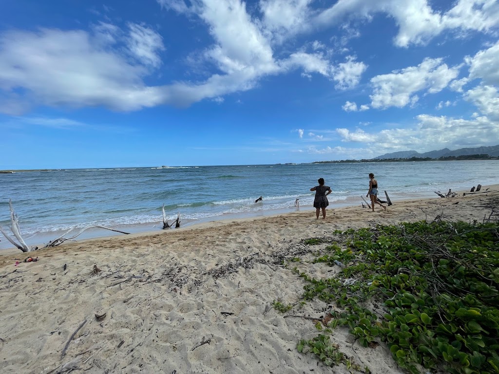 Mokuauia Islet Seabird Sanctuary | Laie, HI 96762 | Phone: (808) 587-0400