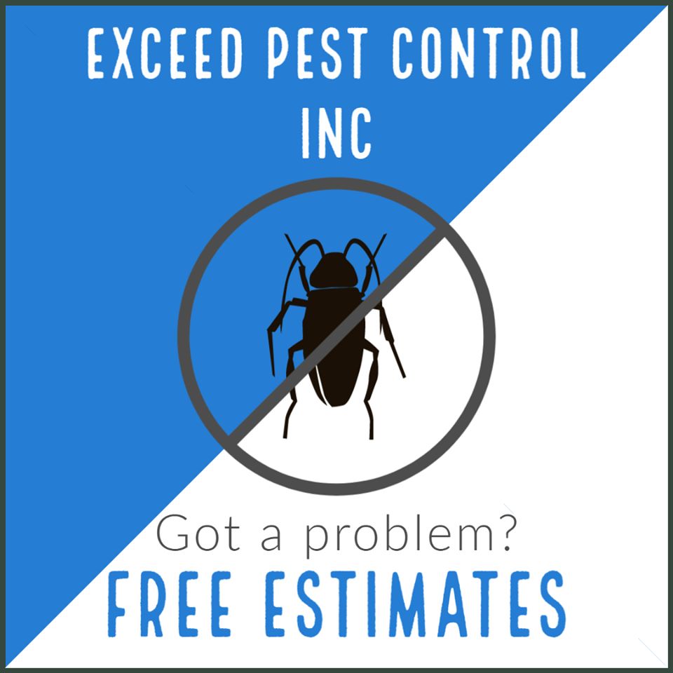 Exceed Pest Control Inc | 1734a Rumar Ln, Holiday, FL 34691 | Phone: (727) 999-1733