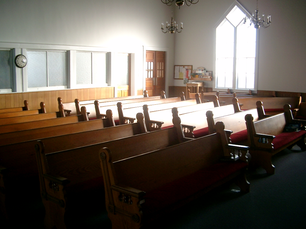 Up River Friends | 523 Up River Rd, Belvidere, NC 27919, USA | Phone: (252) 297-2442