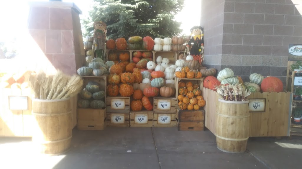 Sprouts Farmers Market | 1131 E 120th Ave, Thornton, CO 80233, USA | Phone: (303) 457-3600 Sprouts Farmers Market | 1131 E 120th Ave, Thornton, CO 80233, USA | Phone: (303) 457-3600