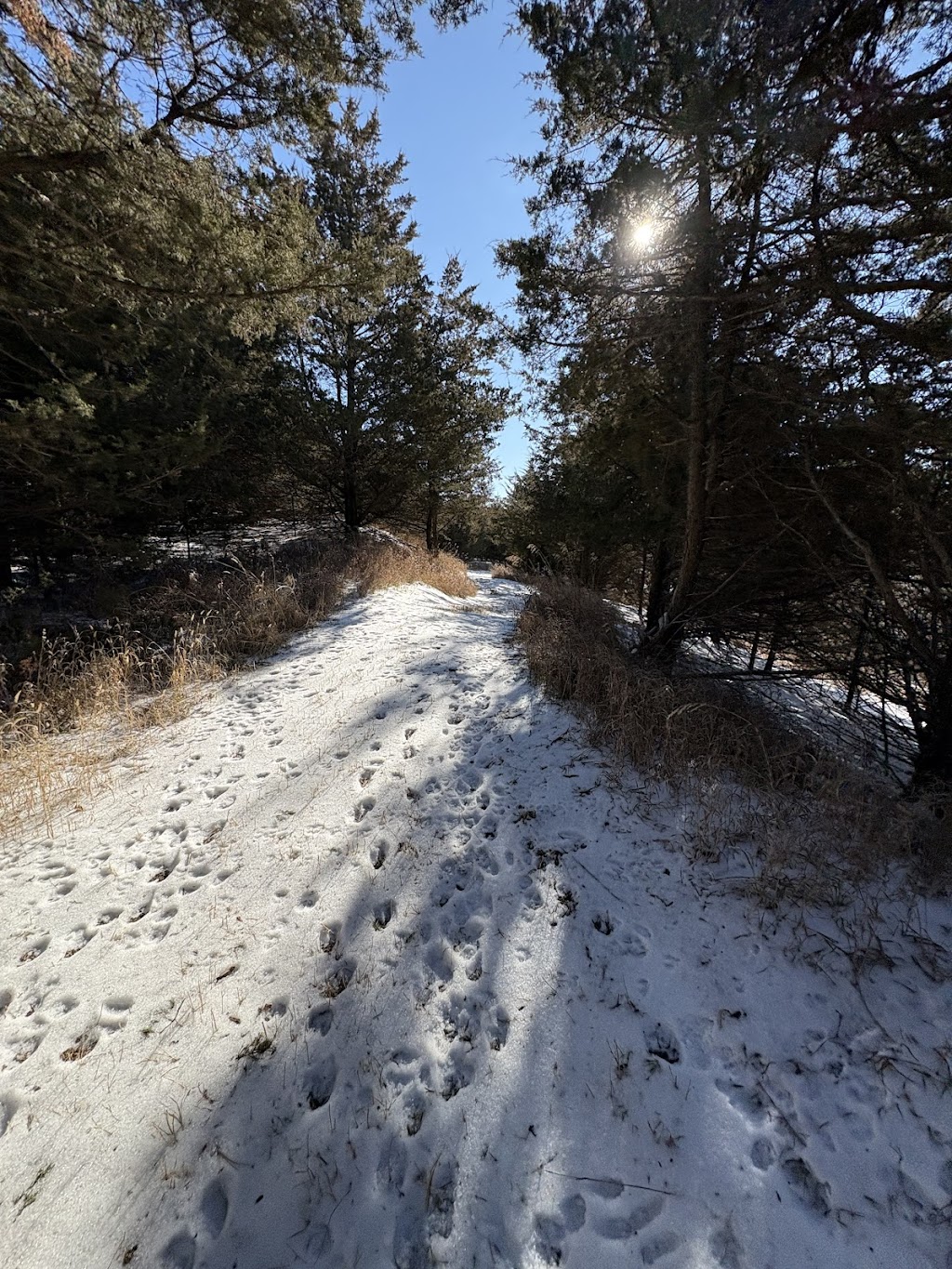 Overland Trail Recreation Area | Road O and, Rd 10, York, NE 68467, USA | Phone: (402) 362-6601