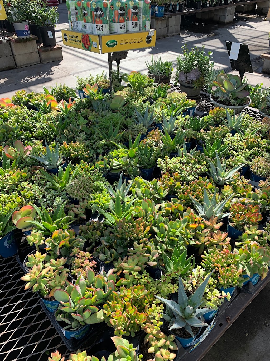 Lowes Garden Center | 13251 Peyton Dr, Chino Hills, CA 91709, USA | Phone: (909) 627-6039