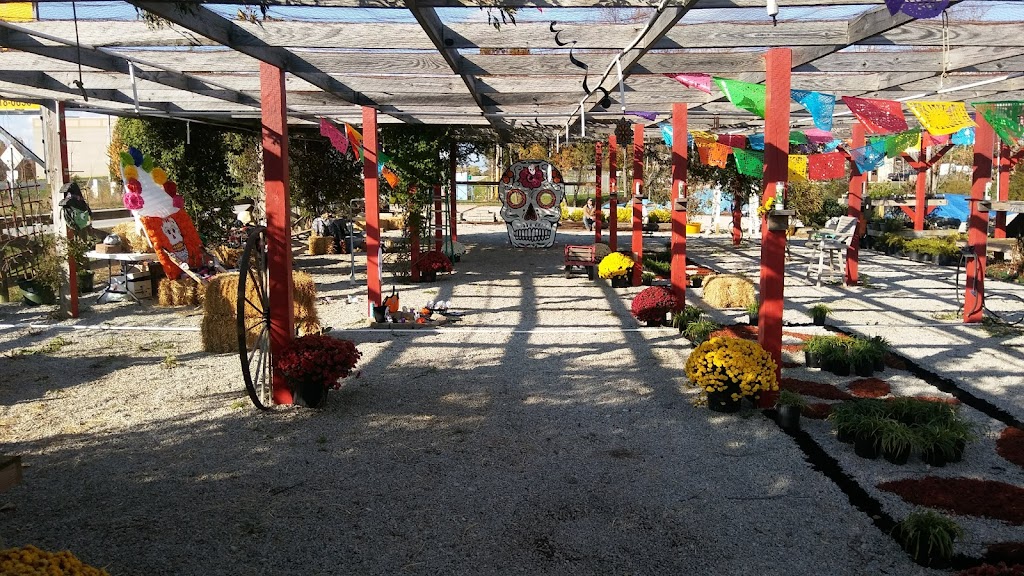 Carbajals Garden Center | 1655 Harrodsburg Rd, Lawrenceburg, KY 40342, USA | Phone: (859) 312-9142