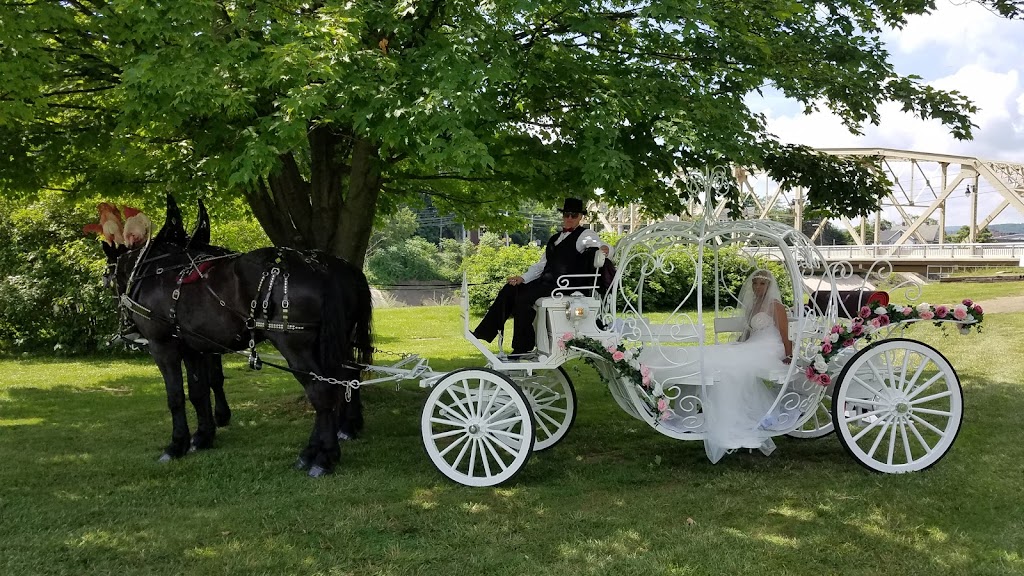 Horsing Round Carriage Service | 144 Dunbar Ohiopyle Rd, Dunbar, PA 15431, USA | Phone: (724) 277-0974