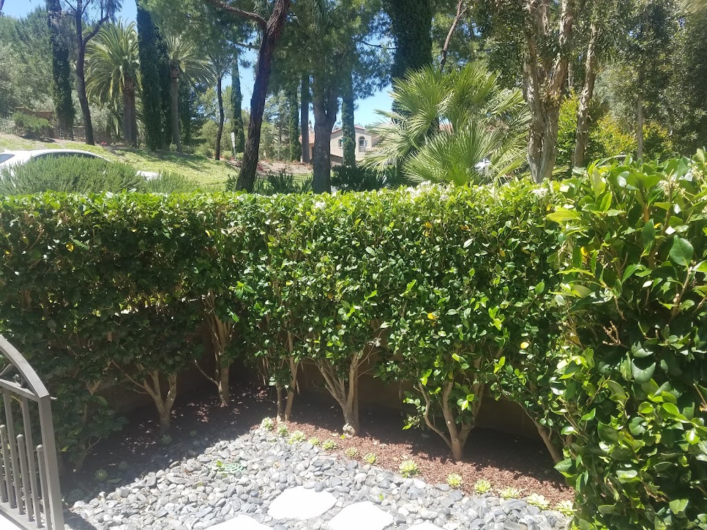 San juan gardening and landscaping | 1321 Cresta Rd, Corona, CA 92879, USA | Phone: (929) 441-1159