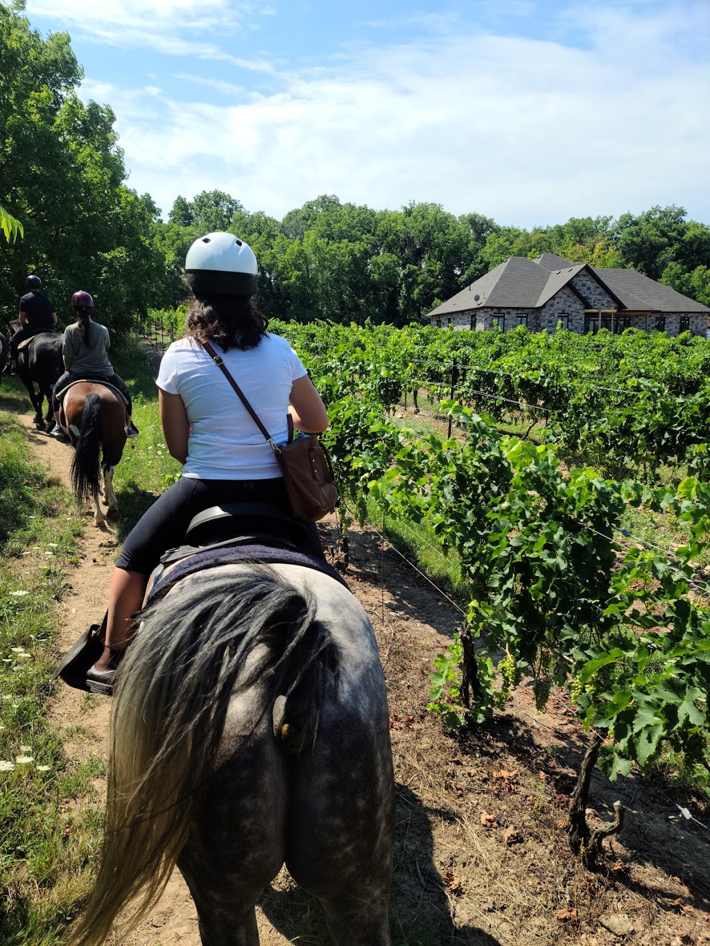 Niagara Riding Stables | 471 Warner Rd, Niagara-on-the-Lake, ON L0S 1J0, Canada | Phone: (905) 262-5101