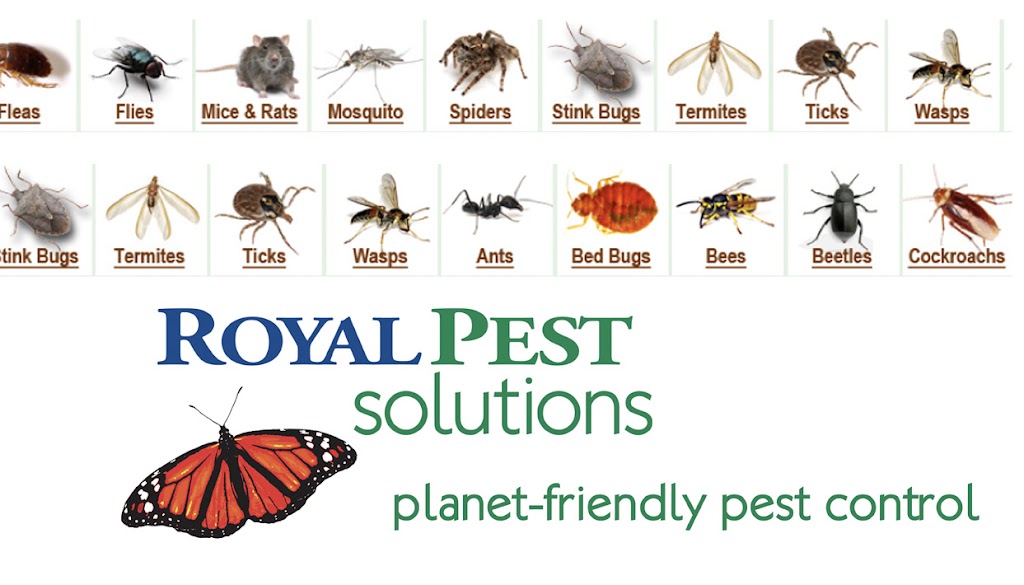Royal Pest Solutions | 53 McCullough Dr, New Castle, DE 19720 | Phone: (302) 322-3600