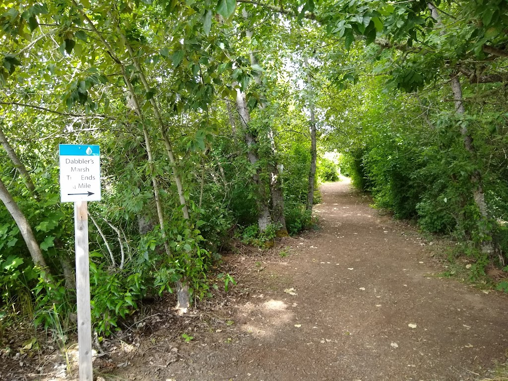 Dabblers Marsh Trail | Fernhill Wetlands Nature Trail, Forest Grove, OR 97116, USA | Phone: (503) 681-3600