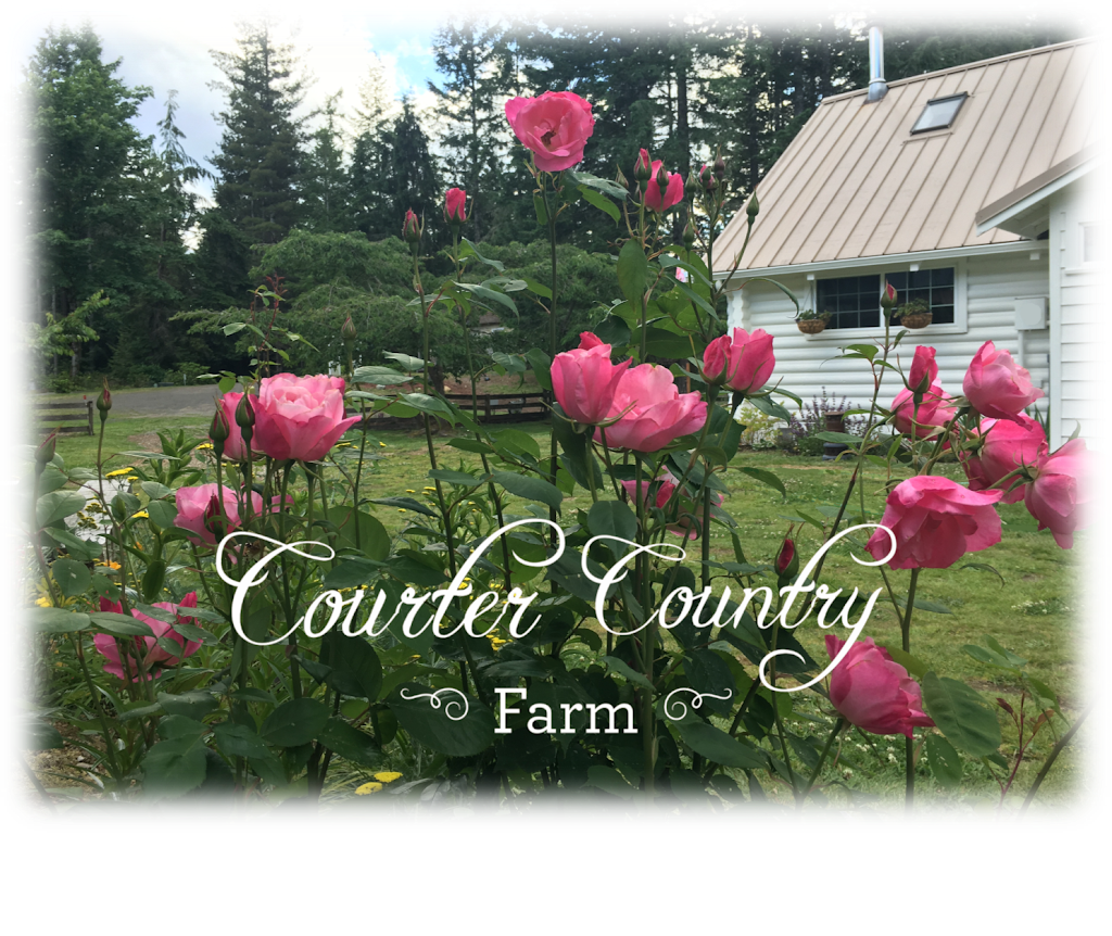 Courter Country Farm | 12000 Courter Ln NW, Poulsbo, WA 98370, USA | Phone: (360) 265-7374