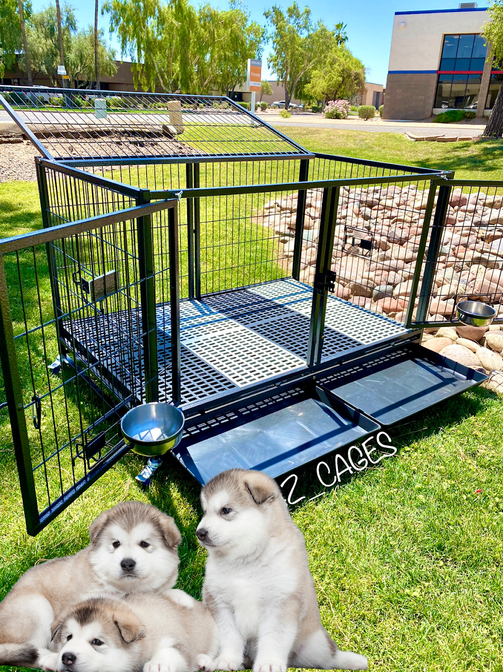 AZ CAGES | 3726 W Roanoke Ave Suite 15, Phoenix, AZ 85009, USA | Phone: (714) 499-4942