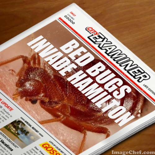 Sleep Tight Bed Bug Specialists | 4495 Margueritte Ave, Beamsville, ON L0R 1B5, Canada | Phone: (905) 977-1171 Sleep Tight Bed Bug Specialists | 4495 Margueritte Ave, Beamsville, ON L0R 1B5, Canada | Phone: (905) 977-1171