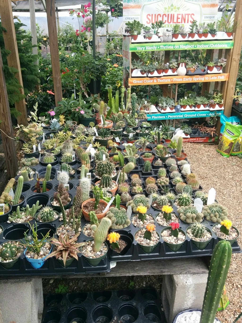 Turners Gardenland | 6503 S Padre Island Dr, Corpus Christi, TX 78412, USA | Phone: (361) 991-9002