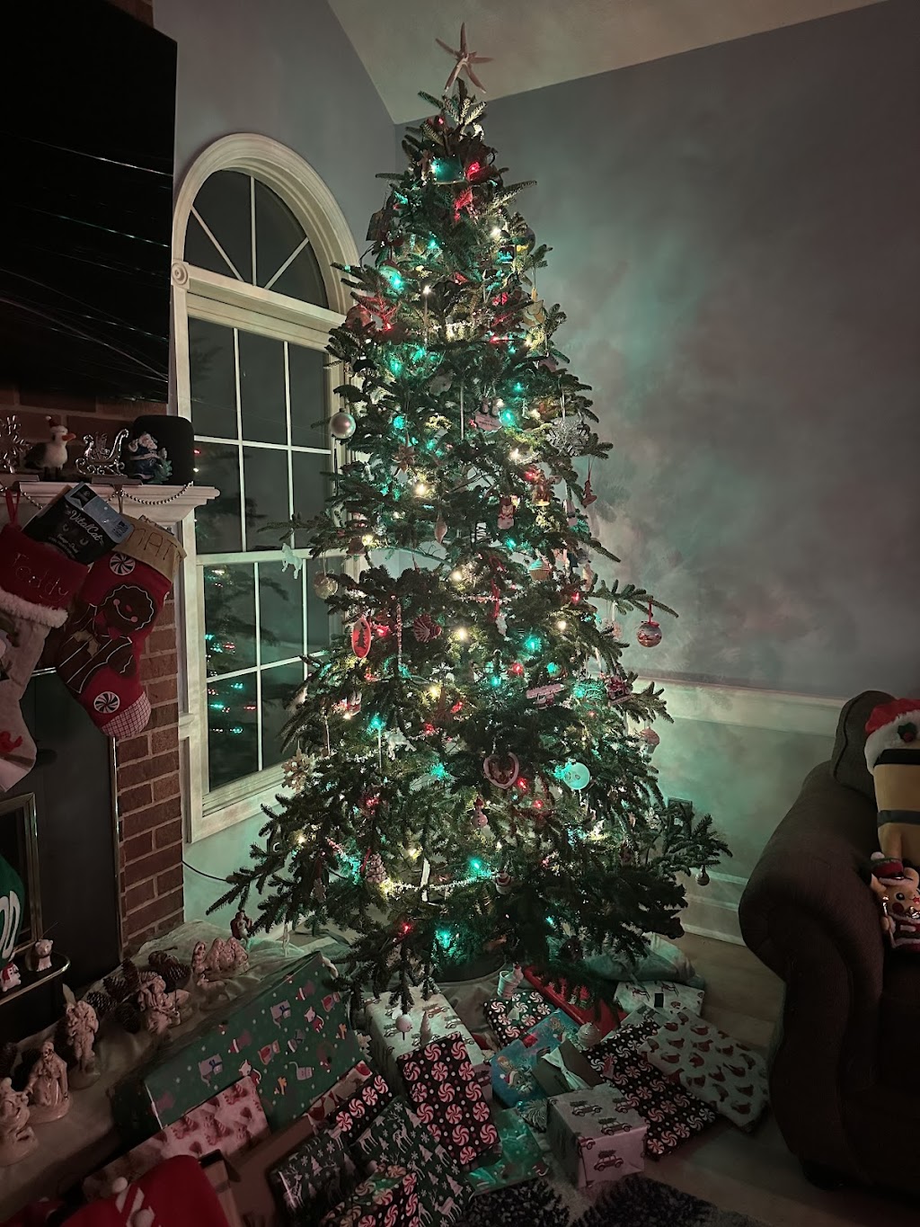 Mytrysak Family Tree Farm and Greenhouse | 1803 Fleming Rd, Indiana, PA 15701, USA | Phone: (724) 463-0570