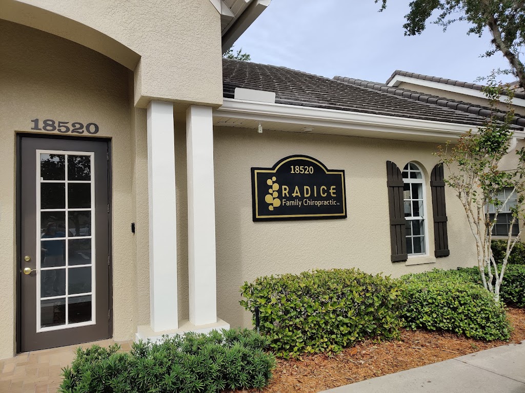 Radice Family Chiropractic | 18520 N Dale Mabry Hwy, Lutz, FL 33548, USA | Phone: (813) 968-9411