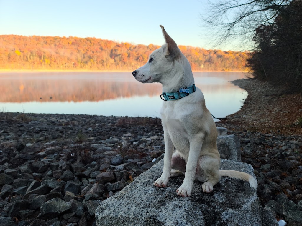 Amawalk Reservoir Fishing Area | US-202, Yorktown Heights, NY 10598, USA | Phone: (518) 402-8845