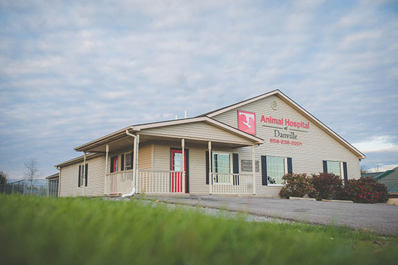 Animal Hospital of Danville | 3880 S Danville Bypass, Danville, KY 40422, USA | Phone: (859) 238-2201